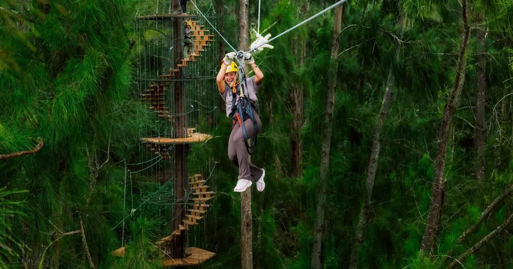 Helmeted zipline rider glides through dense green forest beside an elevated tree-mounted obstacle course and spiral staircase.