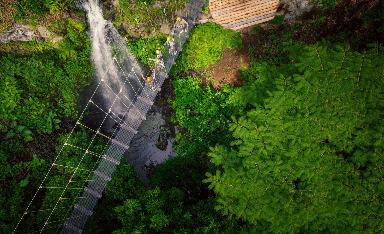 Aerial view of guests in helmets crossing a sky bridge over a waterfall and stream, surrounded by dense forest canopy.