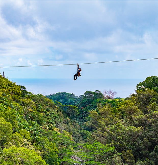 Guest zip-lining high above a lush jungle ravine on Hawaii Island, with the Pacific Ocean visible on the horizon.