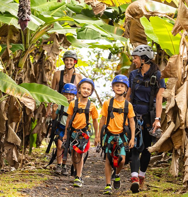 Family in zipline harnesses and helmets walking a jungle path lined with banana leaves on the way to the course.