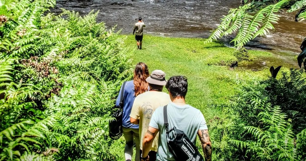Hiking group descending a fern-lined trail toward a river on Hawaii Island, one guest already at the water's edge.