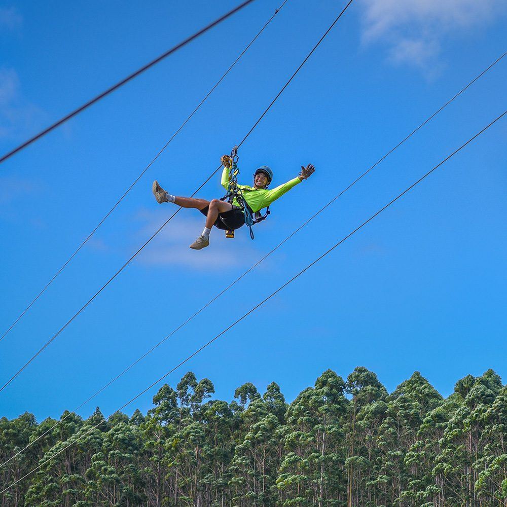 Zipline guide soaring hands-free above eucalyptus trees against a clear blue sky at Umauma.