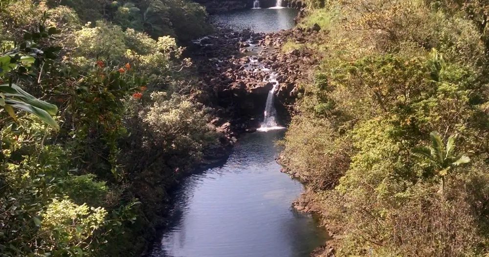 Three tiers of Umauma Falls cascade through a lush tropical river valley surrounded by dense green vegetation on Hawaii Island.