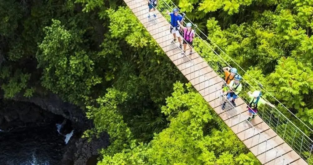 Guests wearing helmets and harnesses walk across a high suspension bridge above a lush green river gorge on Hawaii Island.