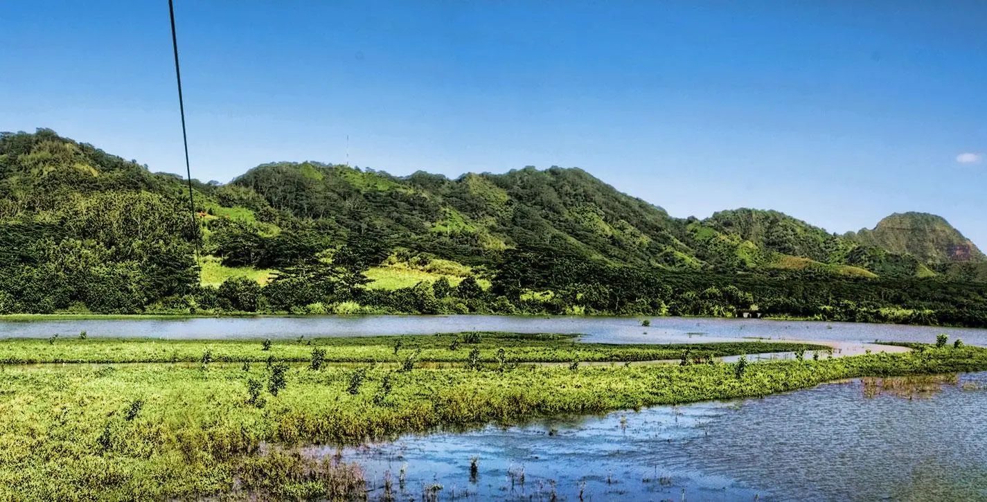 Zipline cable stretching across the wetlands of the Waita Reservoir toward the forested Haupu Mountain Range.