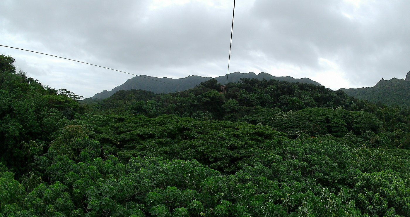 Zipline cable stretching across a jungle canopy toward a launch tower, with cloud-wrapped Kauaʻi mountain ridges rising behind.