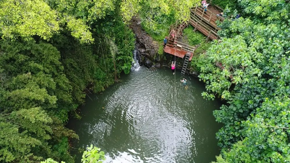 Aerial view of guests swimming and gliding into Bamboo Pool from the WaterZip platform, surrounded by a lush green ravine.