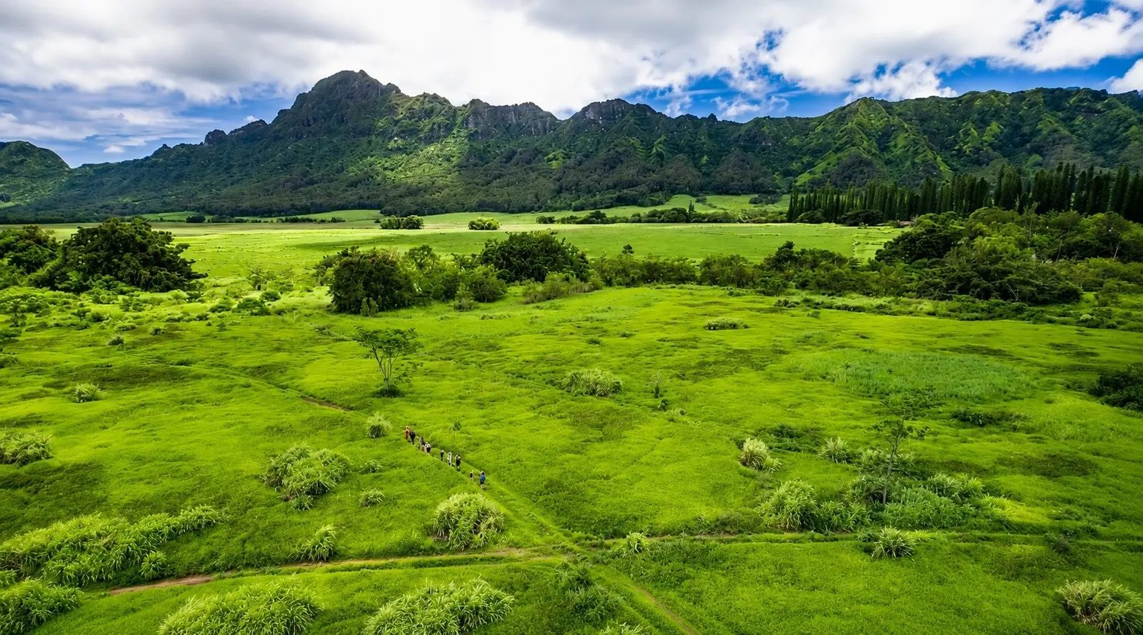 Aerial view of hikers walking a trail through the lush green fields of Kipu Ranch, with mountains rising in the background.