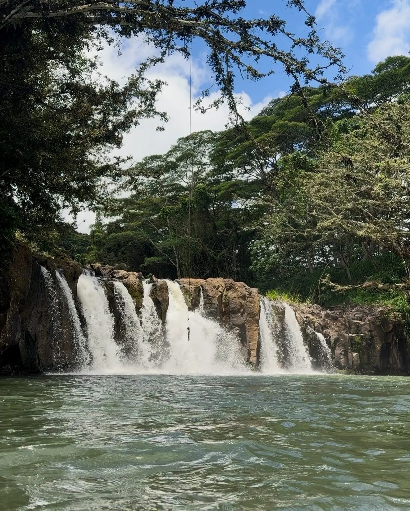 View from the water of Kīpū Falls and its rope swing, framed by overhanging jungle trees.