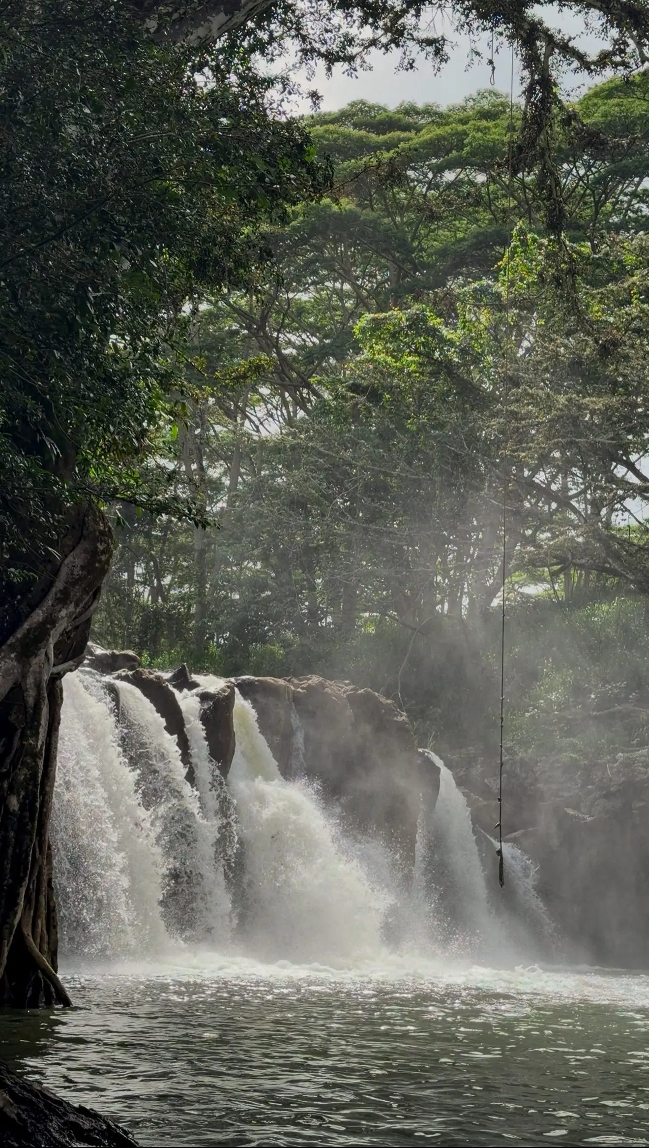 Sunlight filtering through mist rising off Kīpū Falls, with the rope swing dangling above the pool.