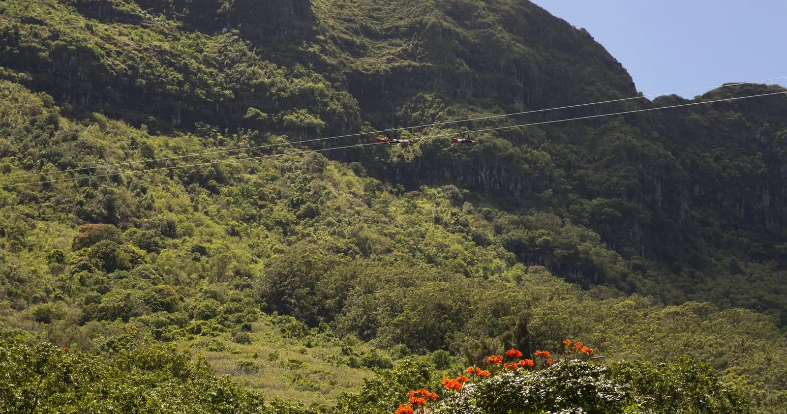 Two flyers crossing the FlyLine zipline high above the forested slopes of the Hāʻupu Mountain Range, Kauaʻi.