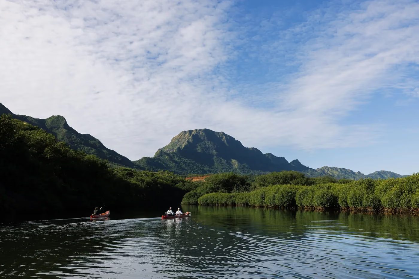 Guests kayaking along the calm Huleʻia River with the Haʻupu Mountain Range rising in the distance, Kauaʻi.