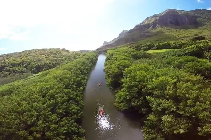 Aerial view of guests kayaking a mangrove-lined channel of the Huleʻia River toward the Haʻupu Mountain Range, Kauaʻi.