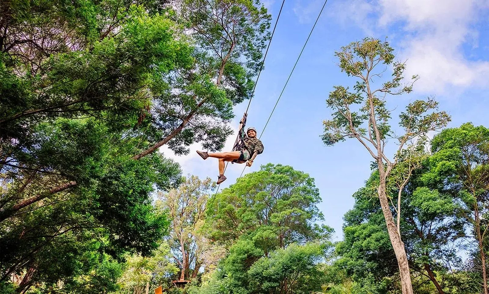 Guest ziplining high above the giant eucalyptus canopy against a blue sky on the NorthShore Zipline Tour, Maui
